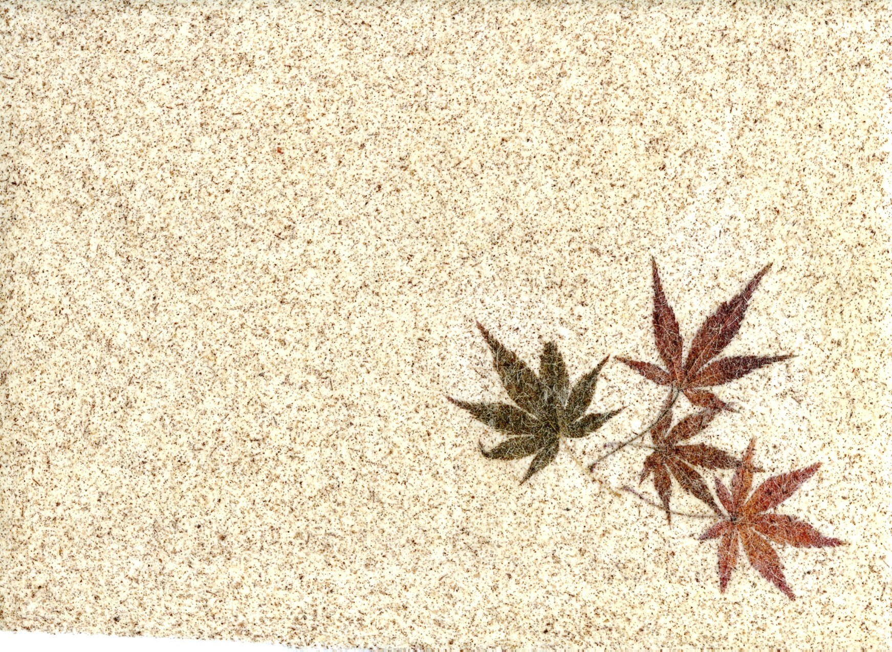小豆和紙